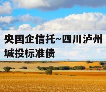 央国企信托～四川泸州城投标准债