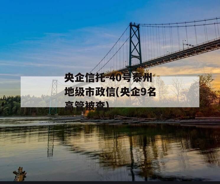 央企信托-40号泰州地级市政信(央企9名高管被查)