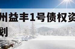 邓州益丰1号债权资产计划