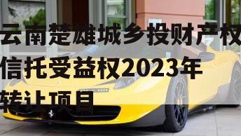 云南楚雄城乡投财产权信托受益权2023年转让项目