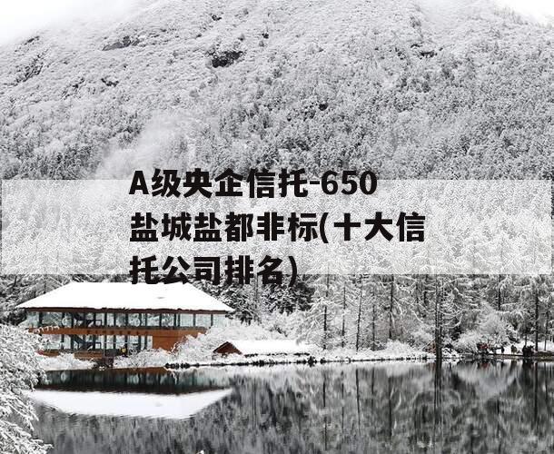 A级央企信托-650盐城盐都非标(十大信托公司排名)