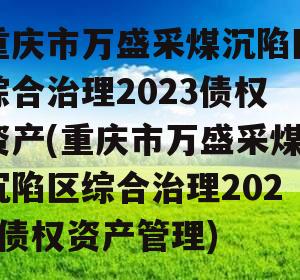 重庆市万盛采煤沉陷区综合治理2023债权资产(重庆市万盛采煤沉陷区综合治理2023债权资产管理)