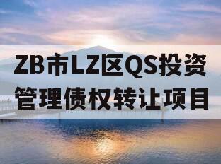 ZB市LZ区QS投资管理债权转让项目