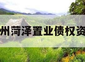 滨州菏泽置业债权资产