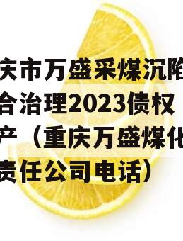重庆市万盛采煤沉陷区综合治理2023债权资产（重庆万盛煤化有限责任公司电话）