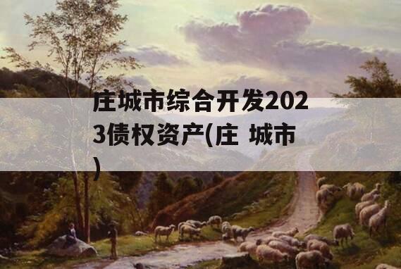 庄城市综合开发2023债权资产(庄 城市)