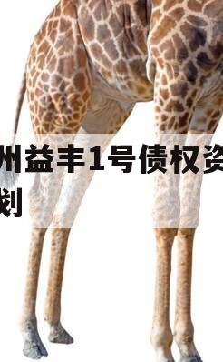 邓州益丰1号债权资产计划