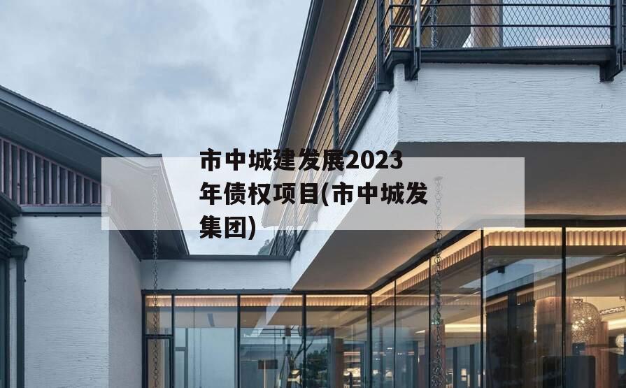 市中城建发展2023年债权项目(市中城发集团)