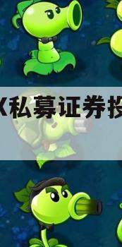 智选X私募证券投资基金