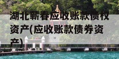 湖北蕲春应收账款债权资产(应收账款债券资产)