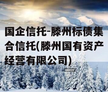 国企信托-滕州标债集合信托(滕州国有资产经营有限公司)