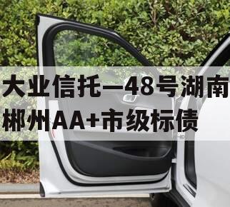 大业信托—48号湖南郴州AA+市级标债