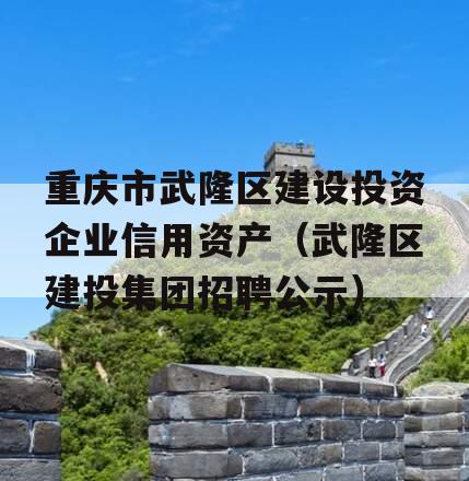 重庆市武隆区建设投资企业信用资产（武隆区建投集团招聘公示）