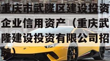 重庆市武隆区建设投资企业信用资产（重庆武隆建设投资有限公司招聘）