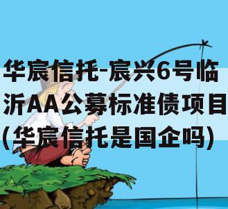 华宸信托-宸兴6号临沂AA公募标准债项目(华宸信托是国企吗)