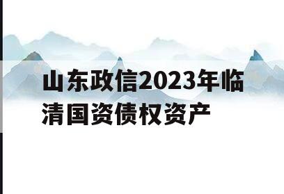 山东政信2023年临清国资债权资产