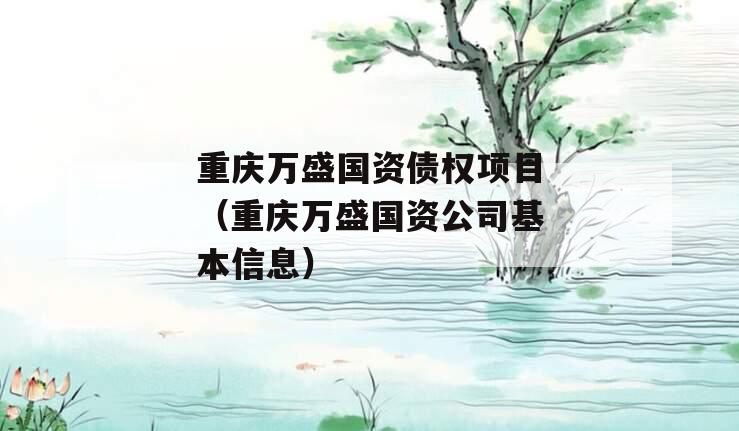 重庆万盛国资债权项目（重庆万盛国资公司基本信息）