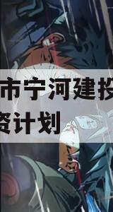 天津市宁河建投2023融资计划