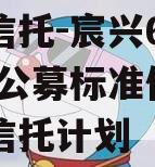 华宸信托-宸兴6号临沂AA公募标准债项目集合信托计划