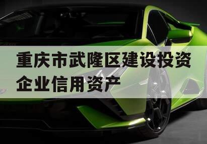 重庆市武隆区建设投资企业信用资产
