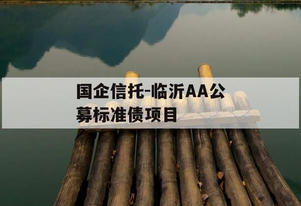 国企信托-临沂AA公募标准债项目