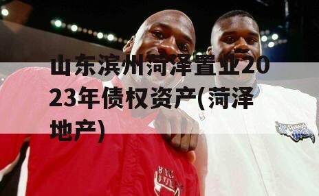 山东滨州菏泽置业2023年债权资产(菏泽地产)