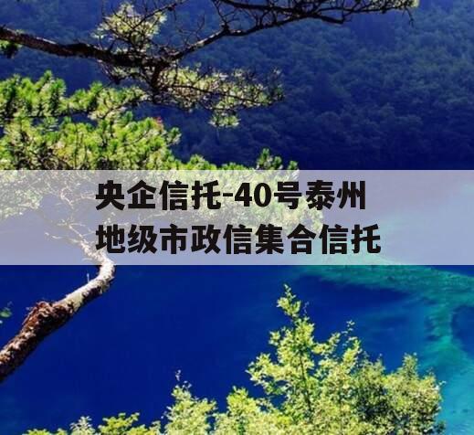 央企信托-40号泰州地级市政信集合信托