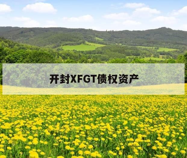 开封XFGT债权资产