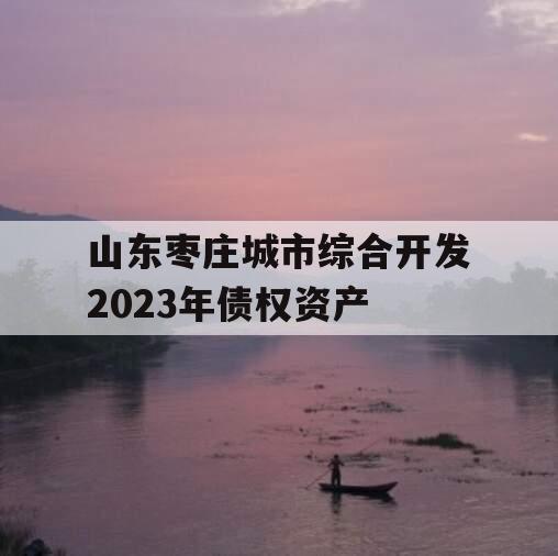 山东枣庄城市综合开发2023年债权资产