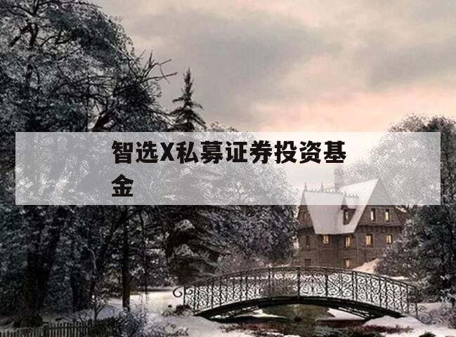 智选X私募证券投资基金