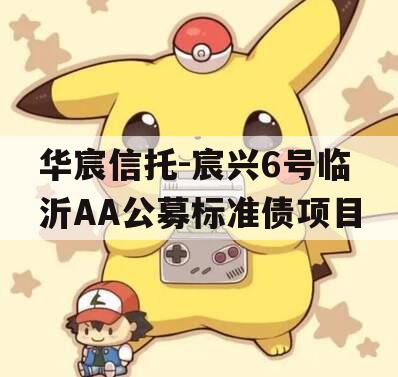华宸信托-宸兴6号临沂AA公募标准债项目