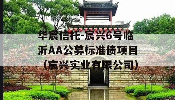 华宸信托-宸兴6号临沂AA公募标准债项目（宸兴实业有限公司）