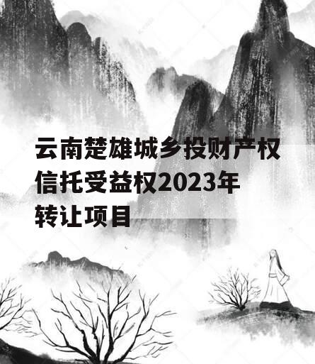 云南楚雄城乡投财产权信托受益权2023年转让项目