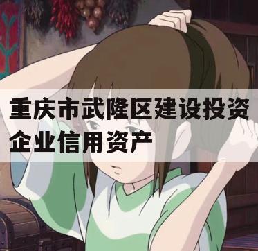 重庆市武隆区建设投资企业信用资产