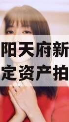 四川龙阳天府新区建设投资特定资产拍卖