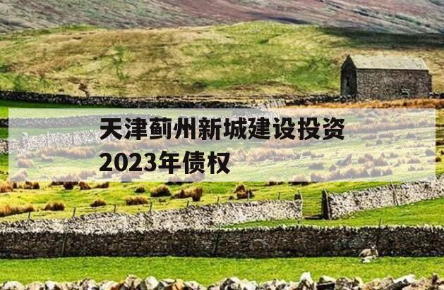 天津蓟州新城建设投资2023年债权