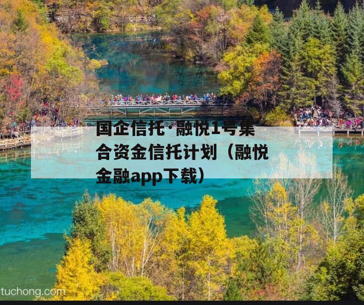 国企信托·融悦1号集合资金信托计划（融悦金融app下载）