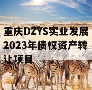 重庆DZYS实业发展2023年债权资产转让项目