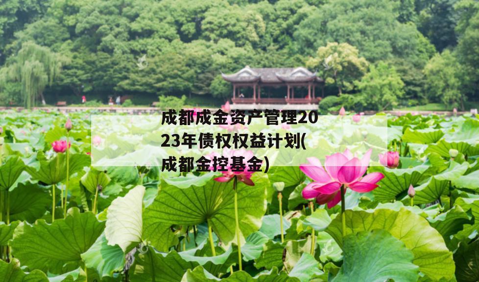 成都成金资产管理2023年债权权益计划(成都金控基金)