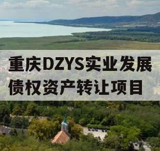 重庆DZYS实业发展债权资产转让项目