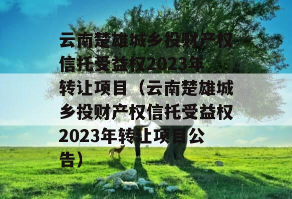 云南楚雄城乡投财产权信托受益权2023年转让项目（云南楚雄城乡投财产权信托受益权2023年转让项目公告）