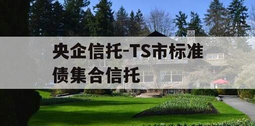 央企信托-TS市标准债集合信托