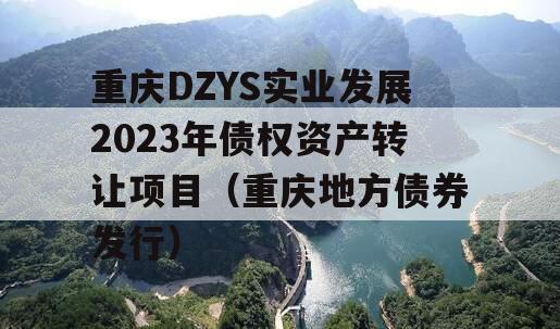 重庆DZYS实业发展2023年债权资产转让项目（重庆地方债券发行）