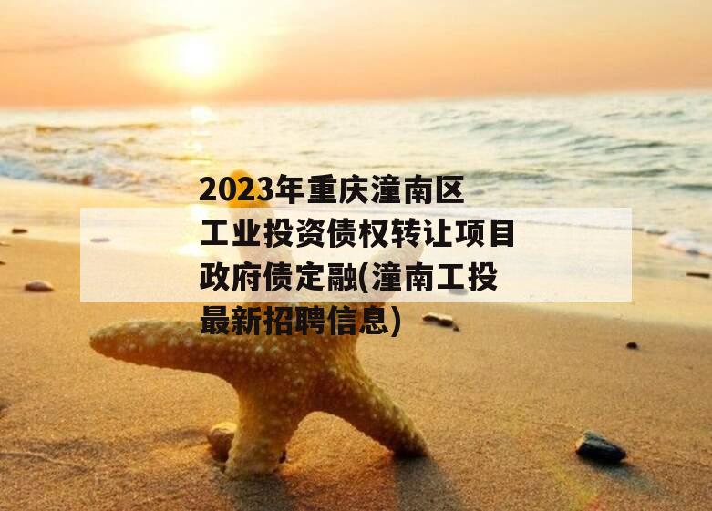 2023年重庆潼南区工业投资债权转让项目政府债定融(潼南工投最新招聘信息)