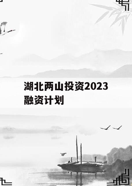 湖北两山投资2023融资计划