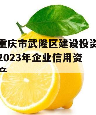 重庆市武隆区建设投资2023年企业信用资产
