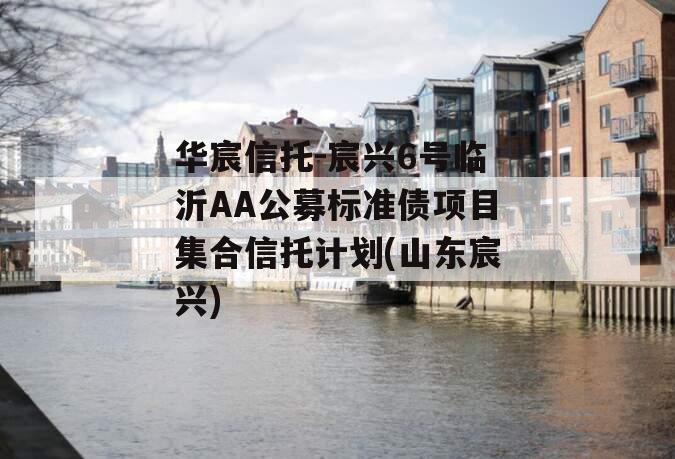 华宸信托-宸兴6号临沂AA公募标准债项目集合信托计划(山东宸兴)