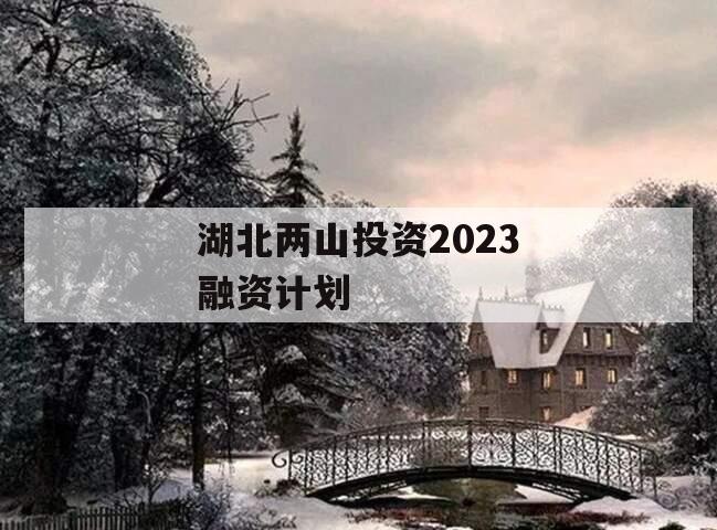 湖北两山投资2023融资计划