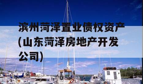 滨州菏泽置业债权资产(山东菏泽房地产开发公司)