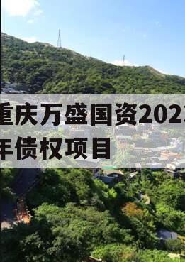 重庆万盛国资2023年债权项目 重庆万盛国资2023年债权项目